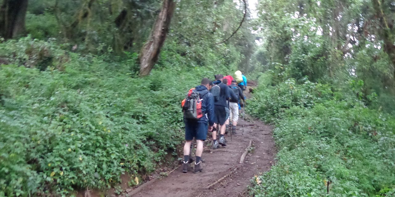 http://www.kilingeadventures.com/wp-content/uploads/2021/01/1-Day-Kilimanjaro-climb-shira-plateau-1280x640.jpg