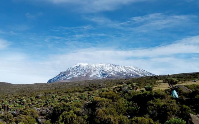 Kilimanjaro FAQs