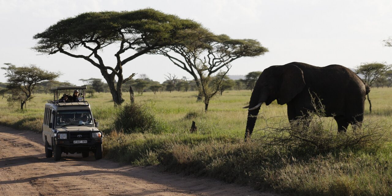 https://www.kilingeadventures.com/wp-content/uploads/2020/11/3-days-tanzania-safari-1280x640.jpg