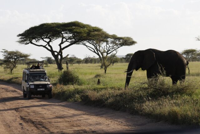 Travel Insurance, 3 Days Tanzania Safari