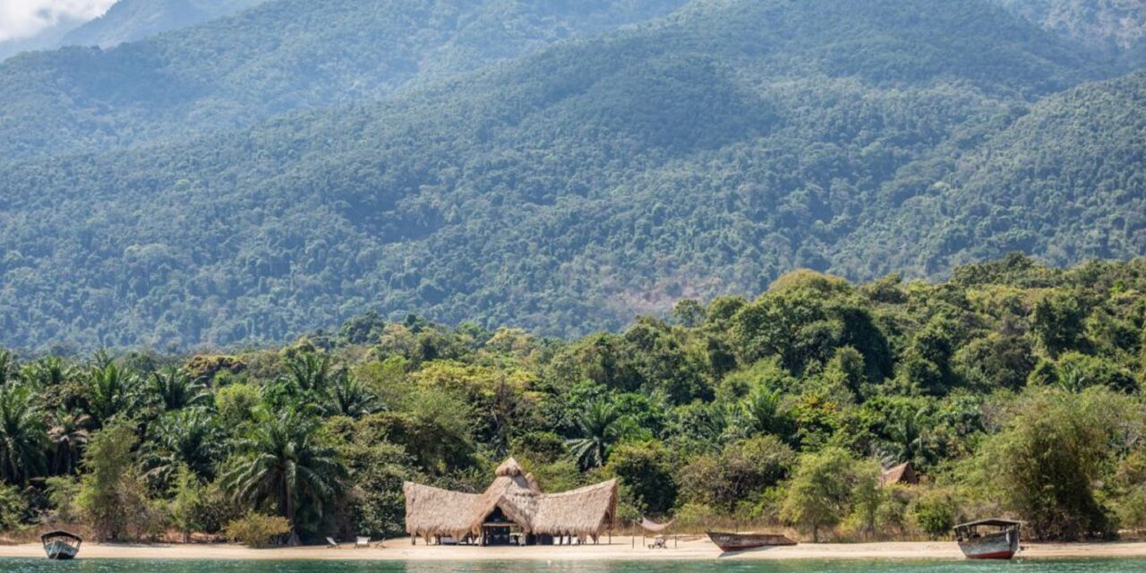 Experience 4 Days Mahale Chimpanzee Safari With Walking Tour Route