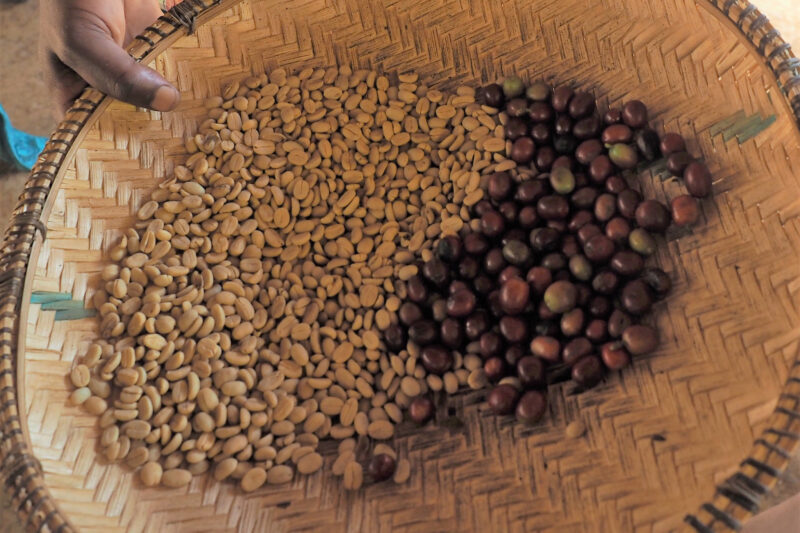 Marangu Village and Coffee Tour: Best 1 Day trip