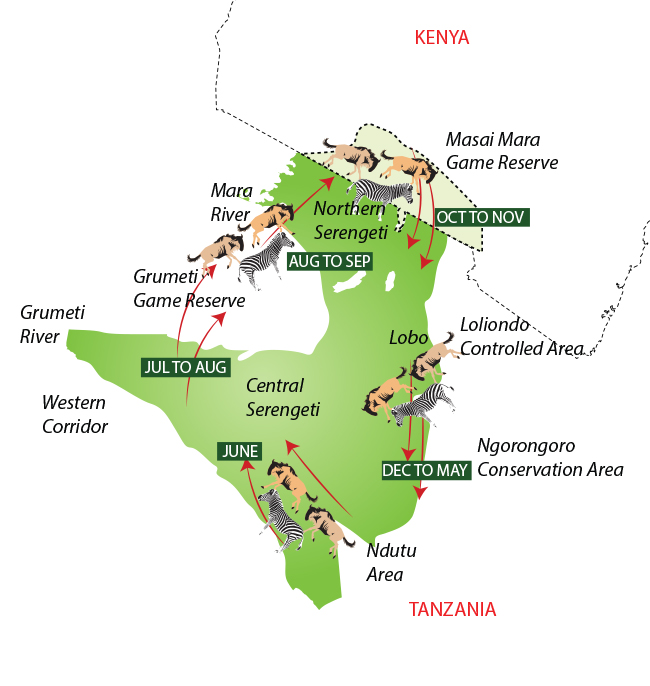 Serengeti Migration- Tanzania safari companies
