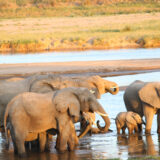 Adventurous 2 Days Tanzania Private Safari 2026