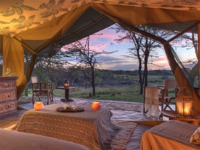 Luxury Tanzania Safari
