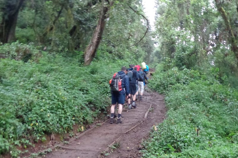 1 Day Kilimanjaro Climb Shira Plateau