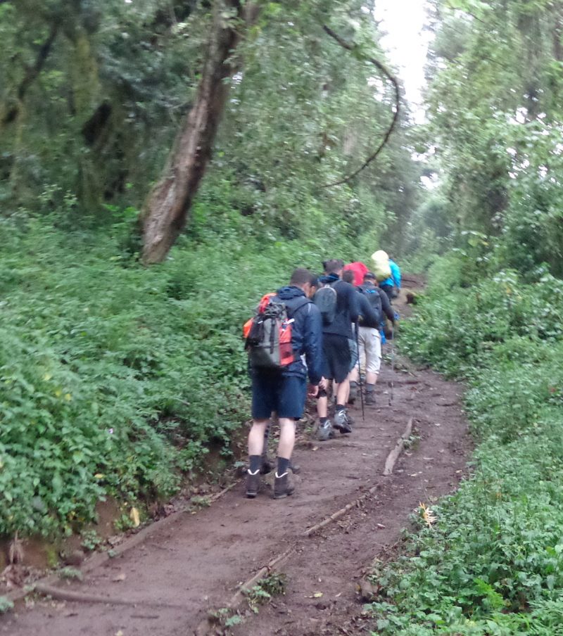 Shira Route Kilimanjaro safari combo