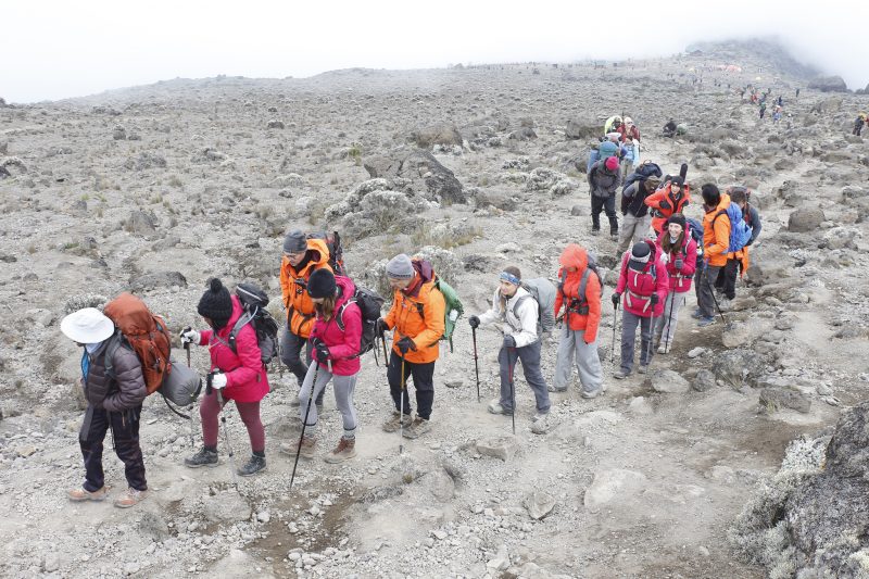 8 Days Kilimanjaro Machame Route