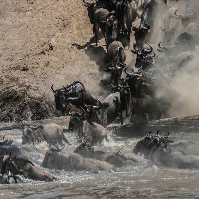 Tanzania Multi-day tours