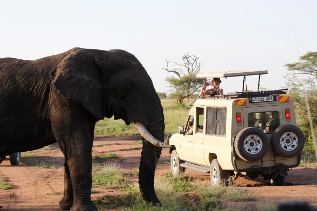 Packing List for Tanzania Safari, Tanzania Multi-day tours