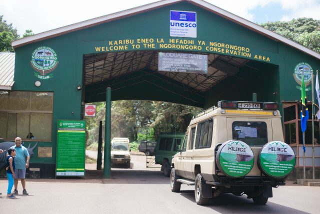 Best Safari in Tanzania