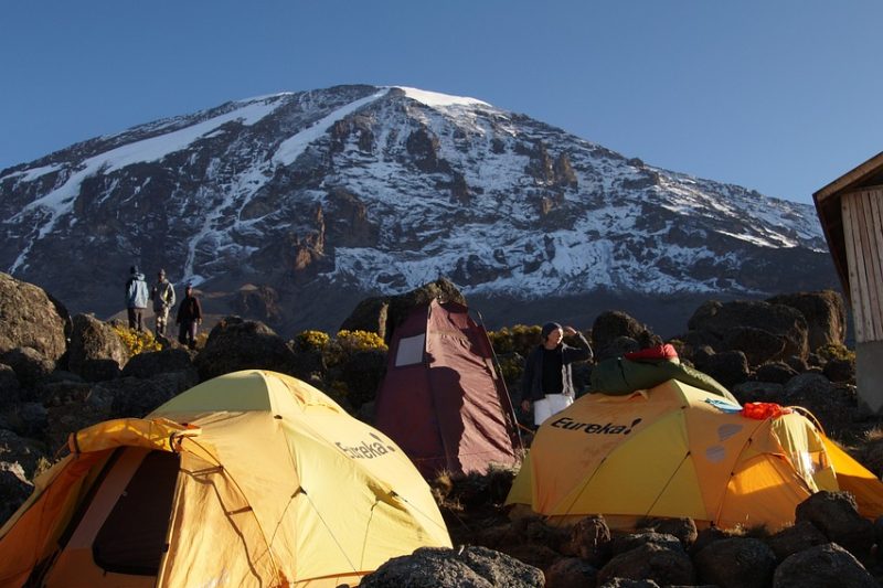 Kilimanjaro Wildlife Encounters 2026