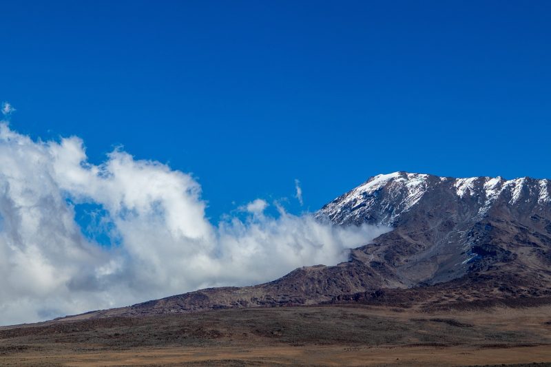 Kilimanjaro 1 Day Trip Machame Route