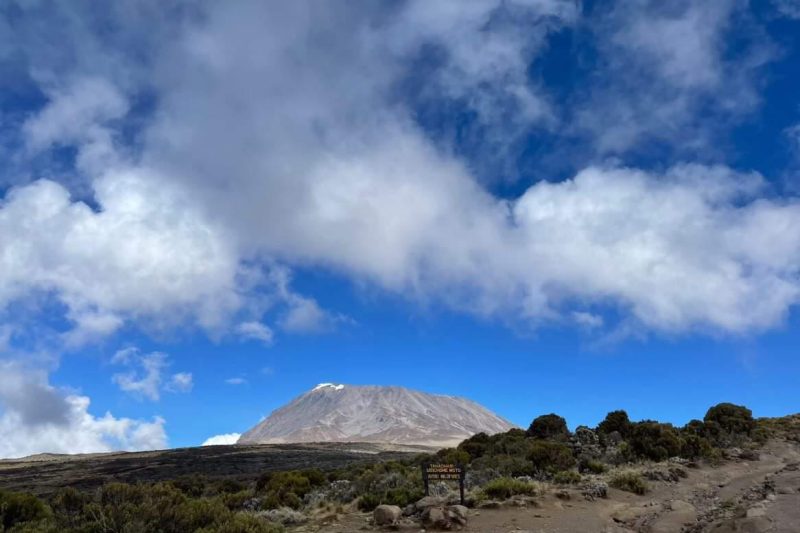 Perfect 1 Day Trip Kilimanjaro Lemosho Route