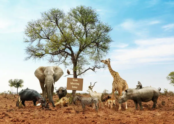 4 days tanzania sharing safari
