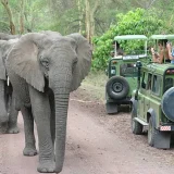 4 days tanzania sharing safari