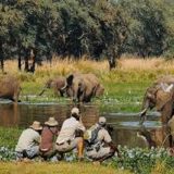 Adventurous 2 Days Tanzania Private Safari 2026