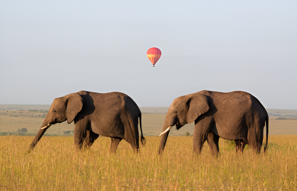 2 days safari packages Tanzania
