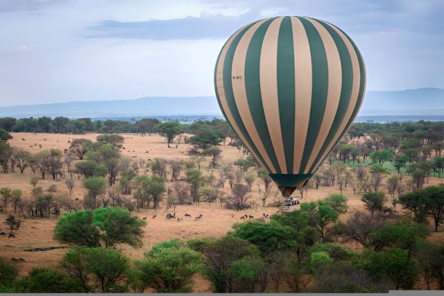 All-Inclusive Tanzania Safari