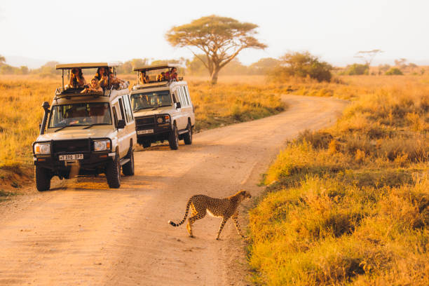 Tips for Tanzania Safari travel