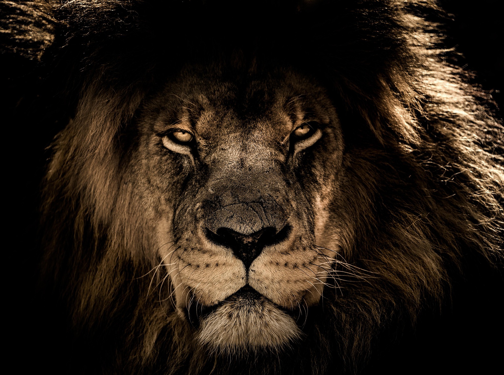 5 days wildlife viewing safari