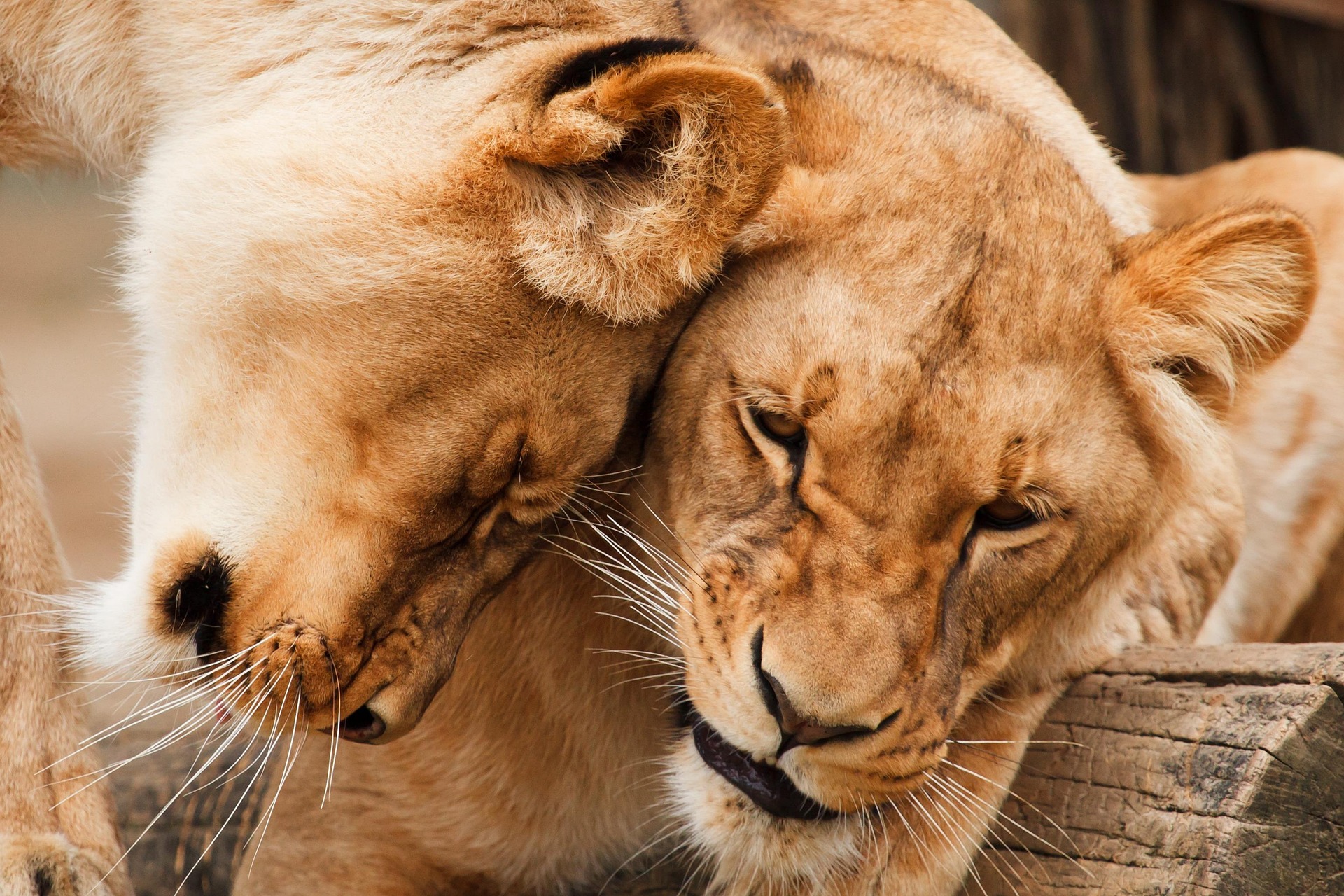5 days safari itinerary