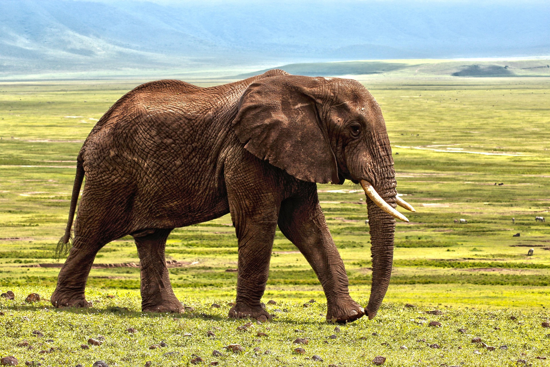 5 days safari vacation