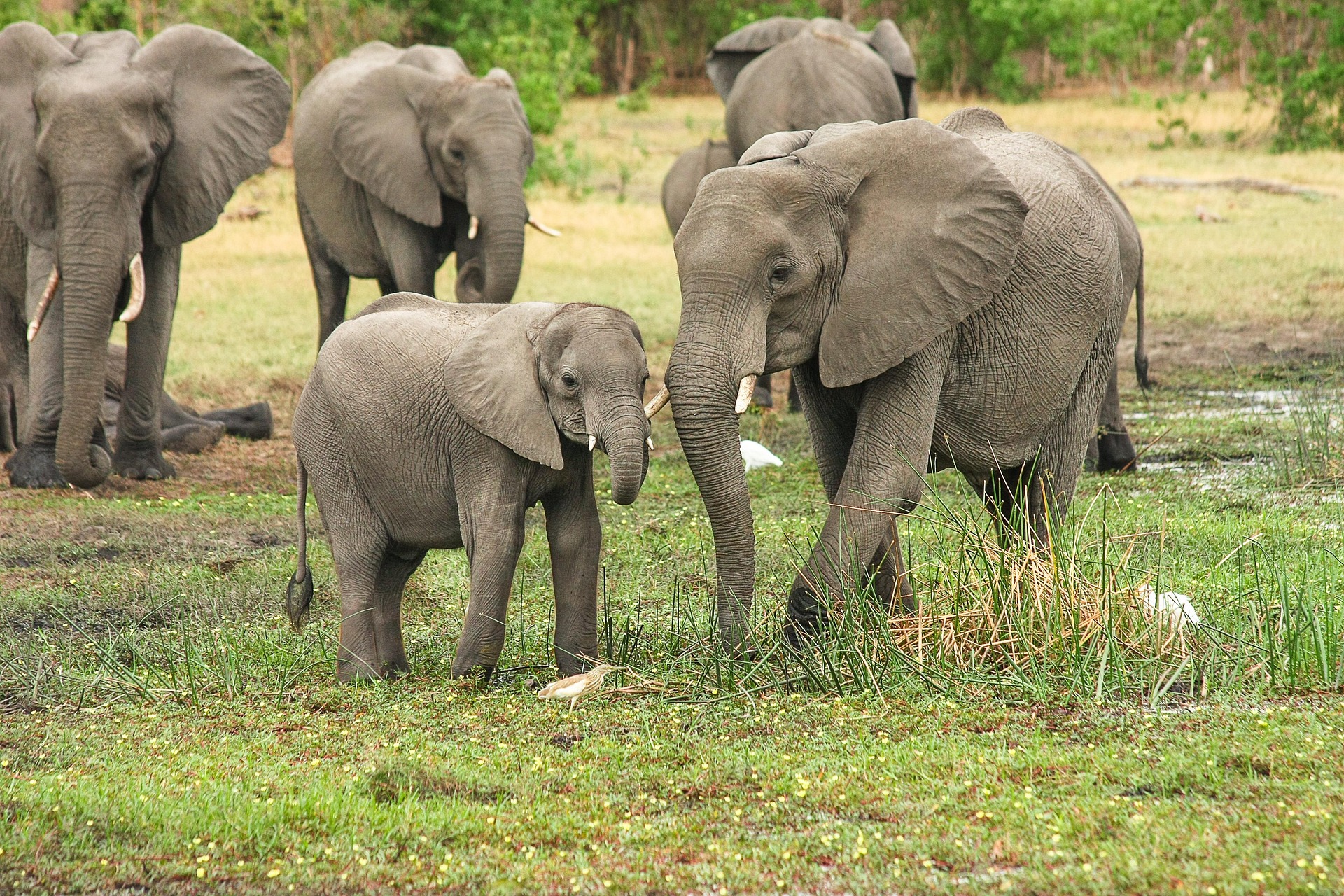 6 days safari tour Moshi