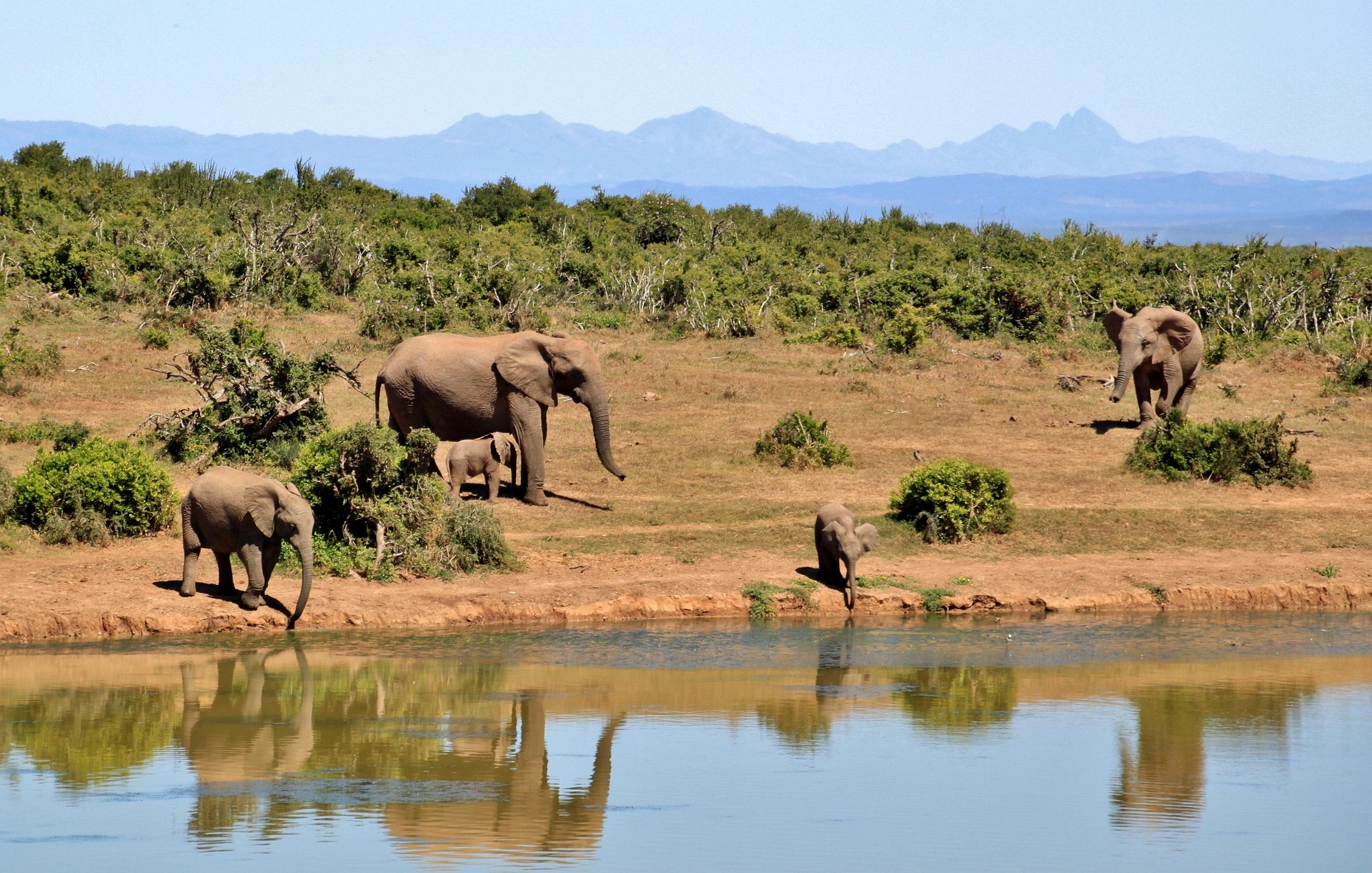 Tanzania safari tour operator 4 days