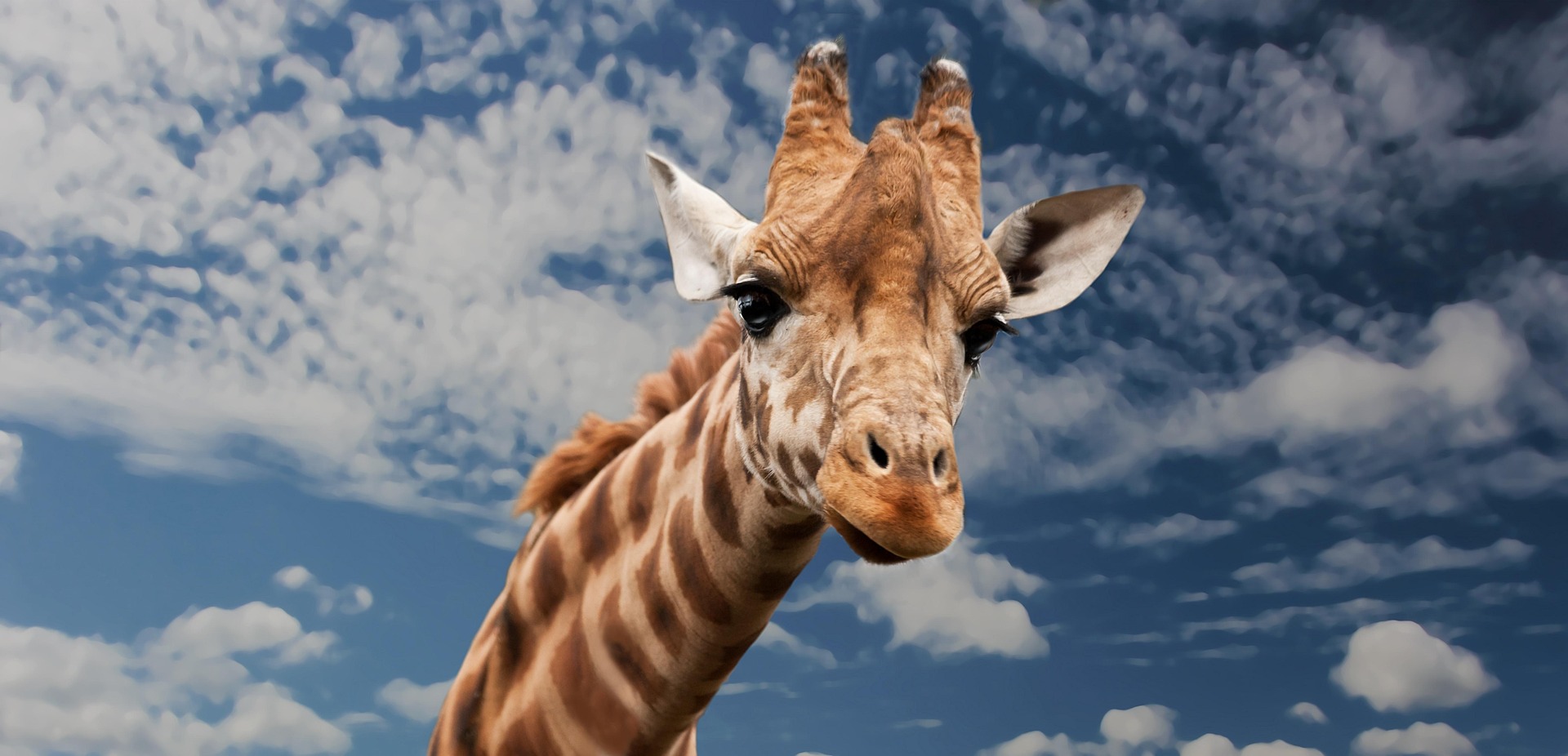 5 days safari from Dar es Salaam