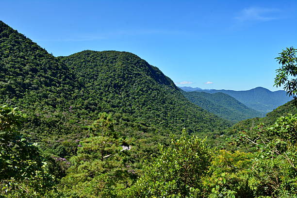 Udzungwa Mountains day trip