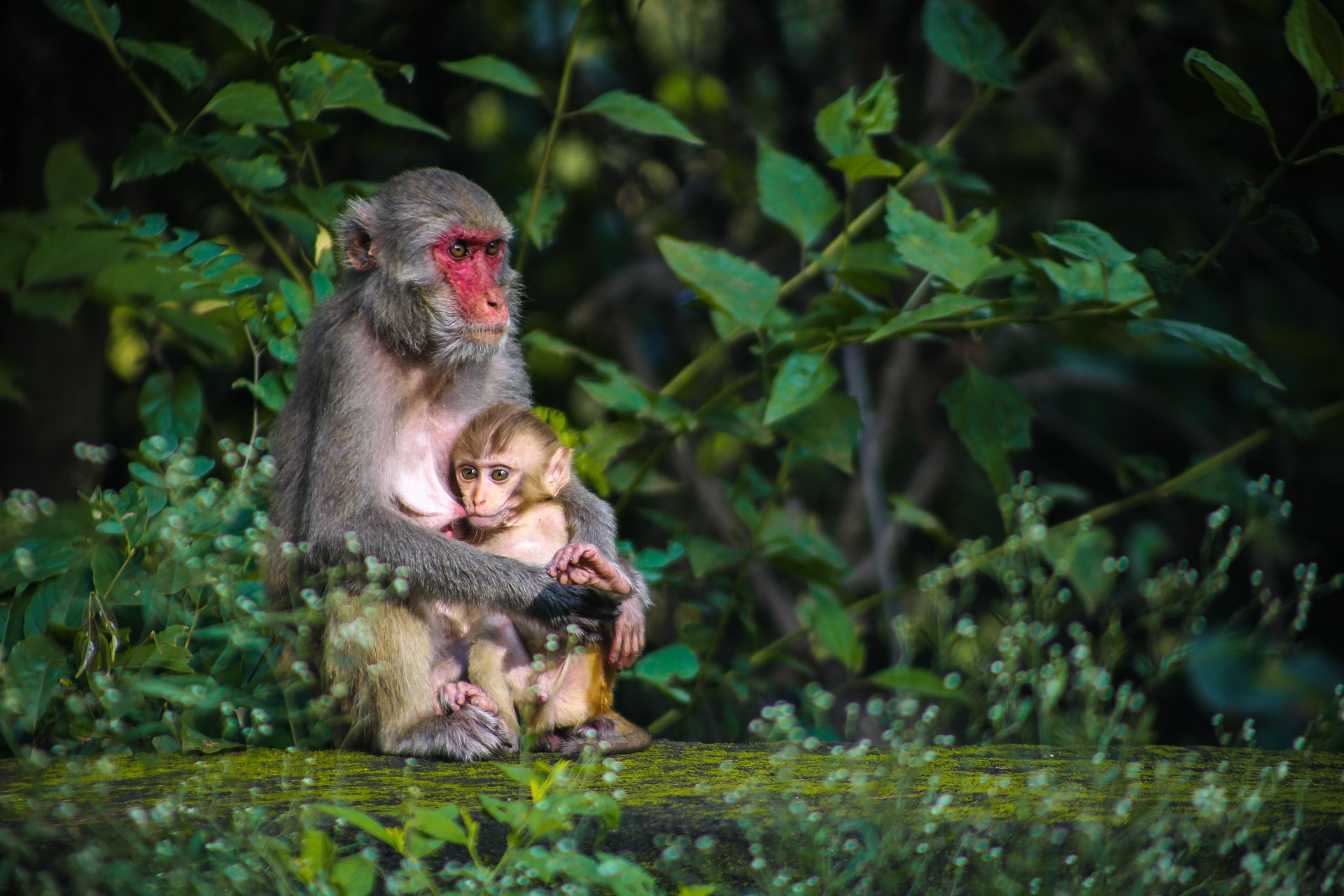 5 days nature safari