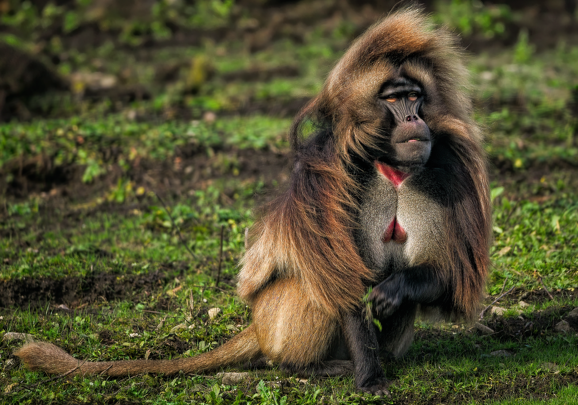 5 days photographic safari