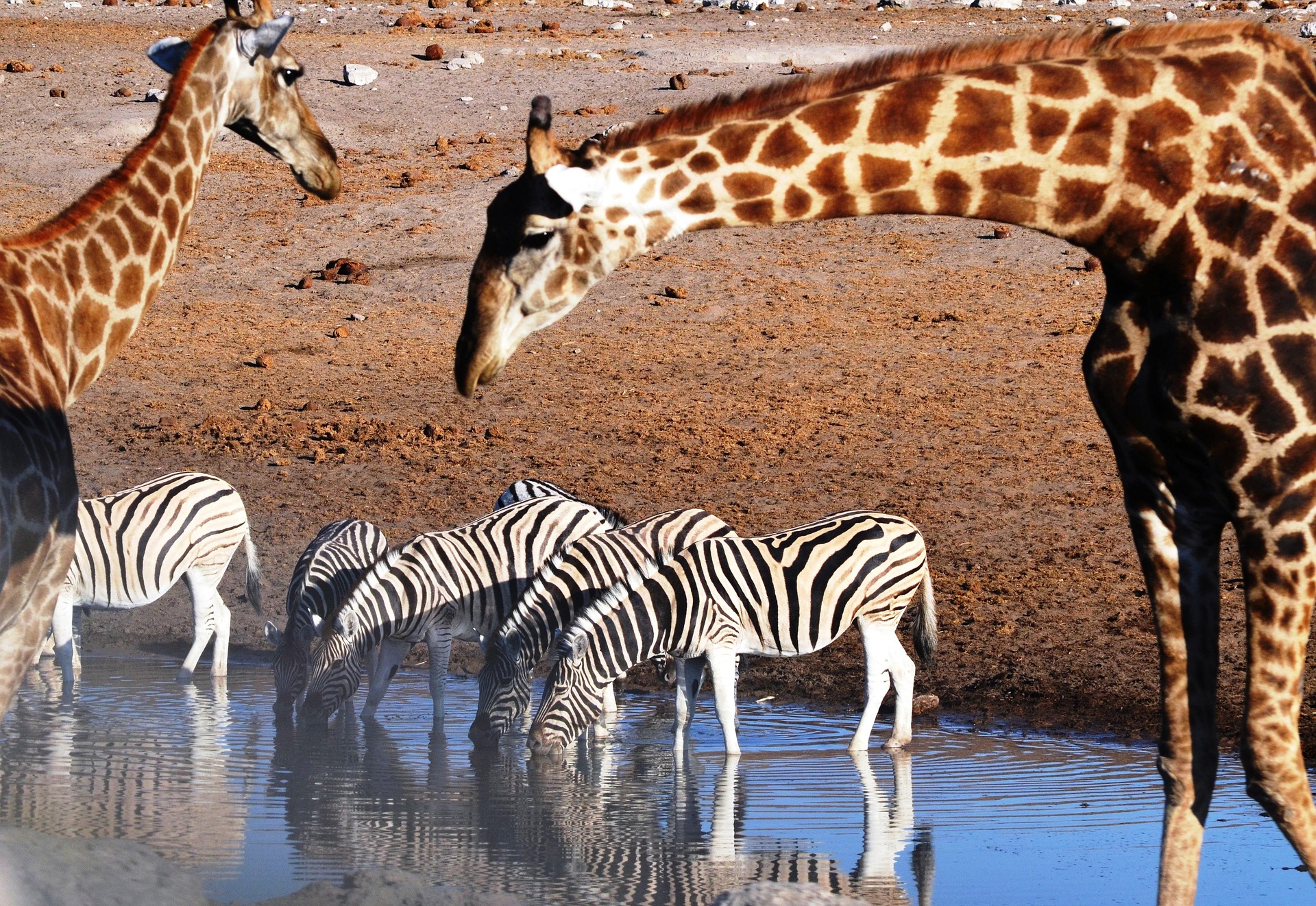 book 5 days safari Tanzania