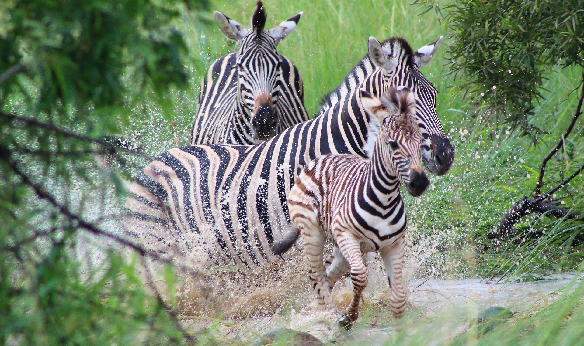 5 days safari package