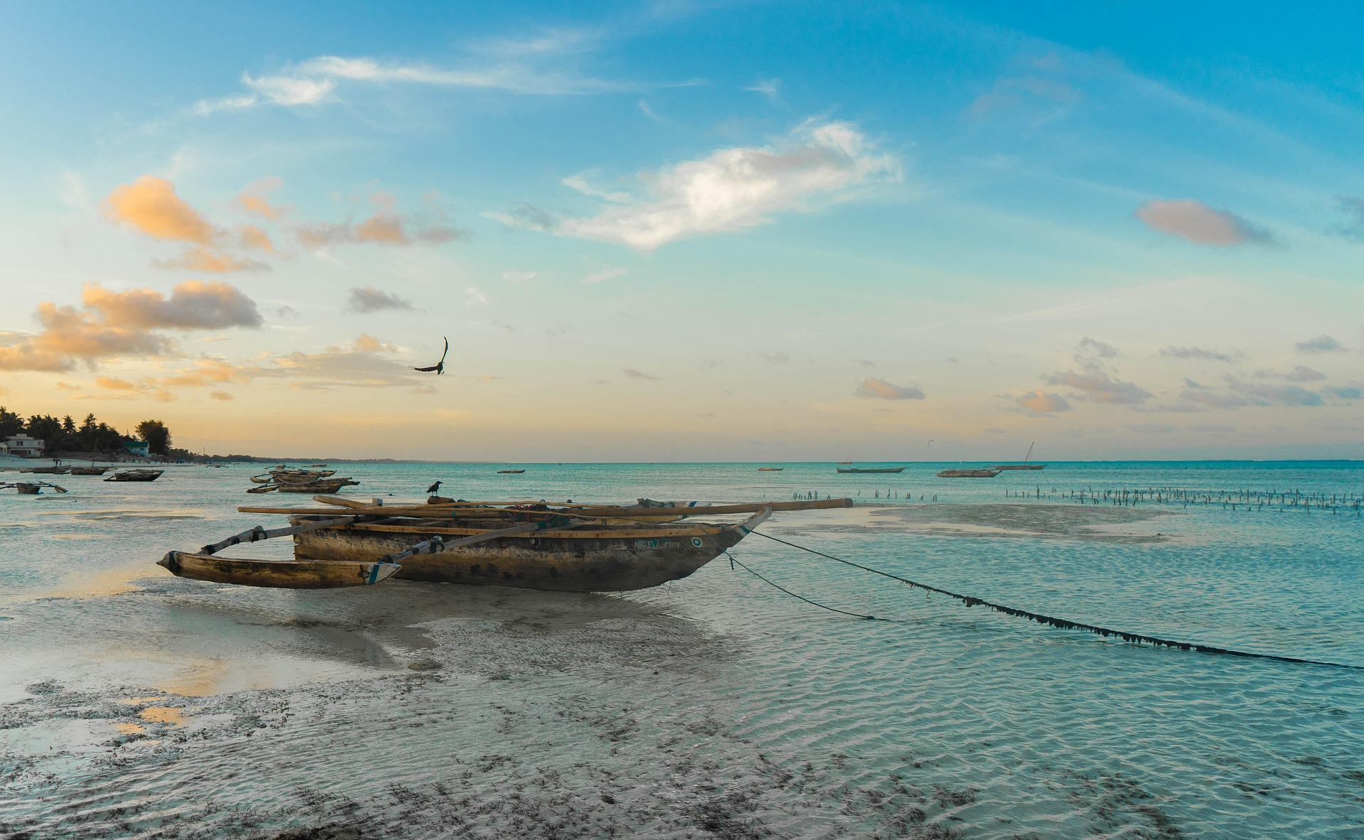 6 days safari ending Zanzibar